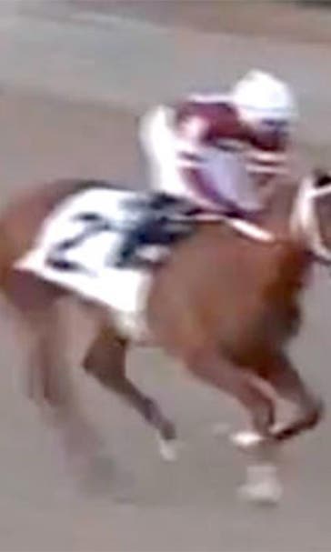West Virginia Derby draws stellar field of nine